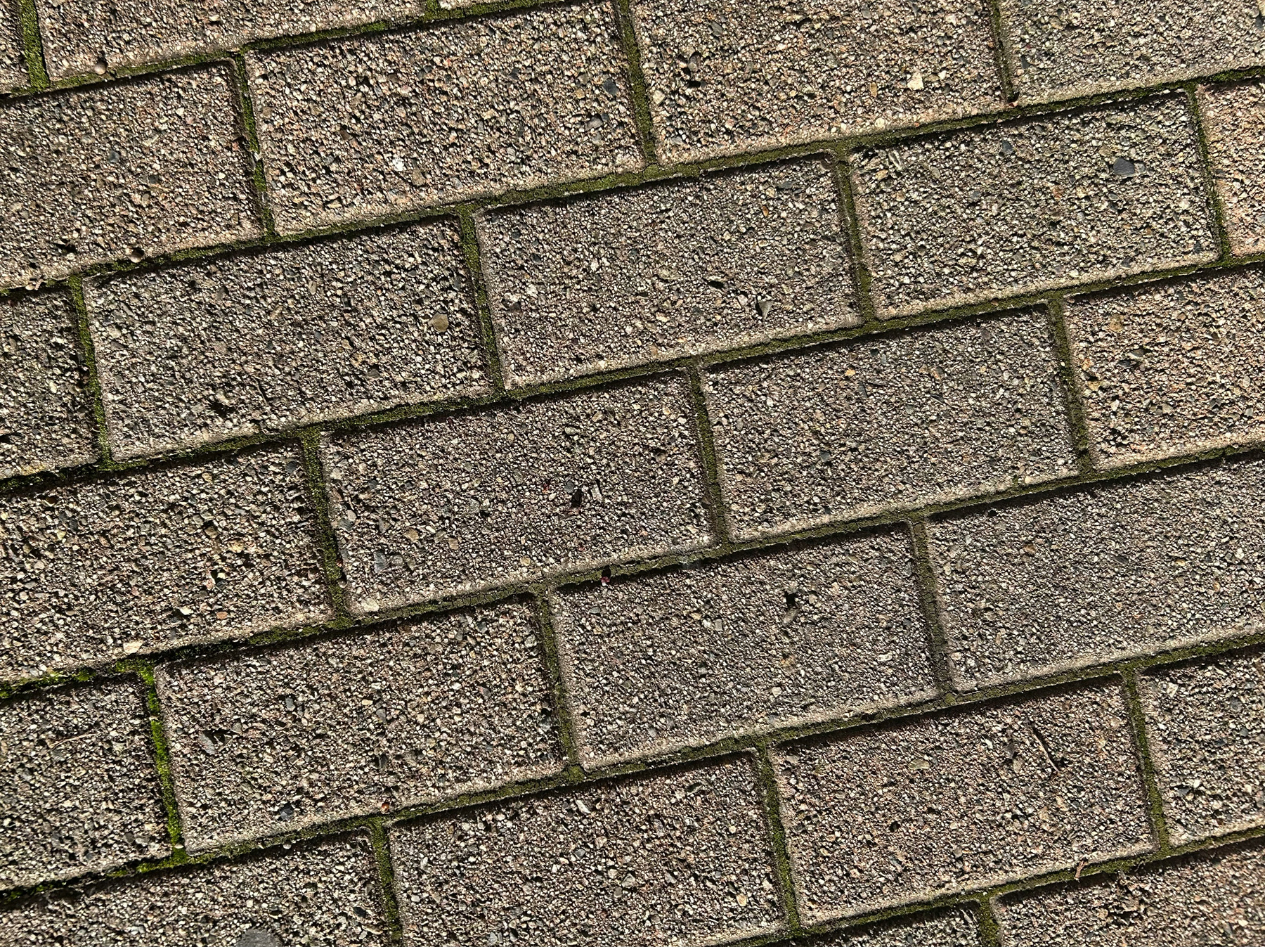 Pflastersteine im Garten werden gereinigt