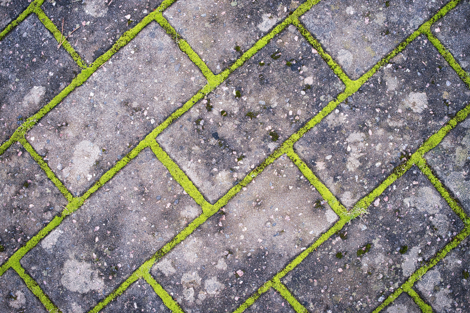 Terrasse im Garten wird im Frühjahr gereinigt