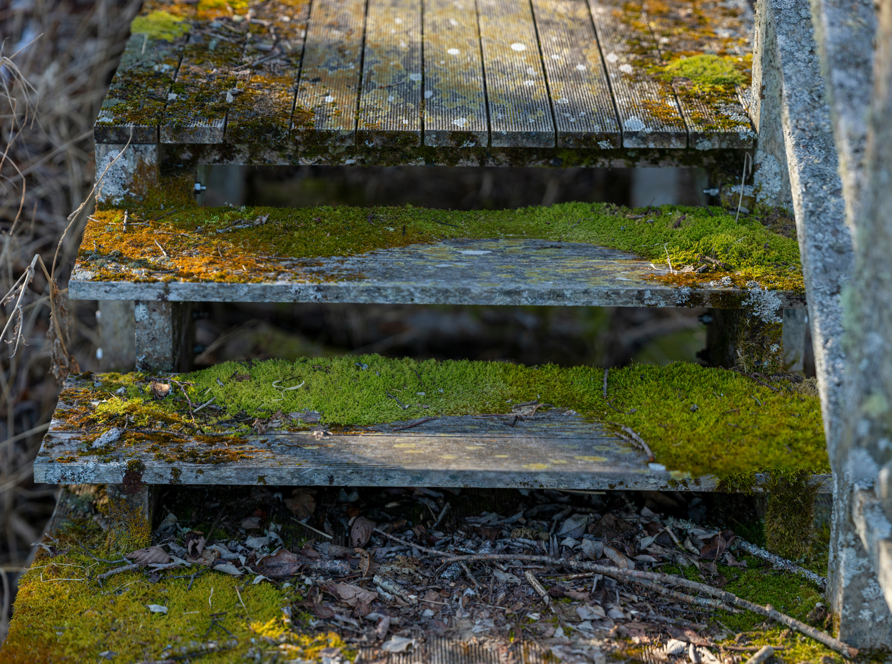 Steintreppe im Außenbereich mit grünem Belag