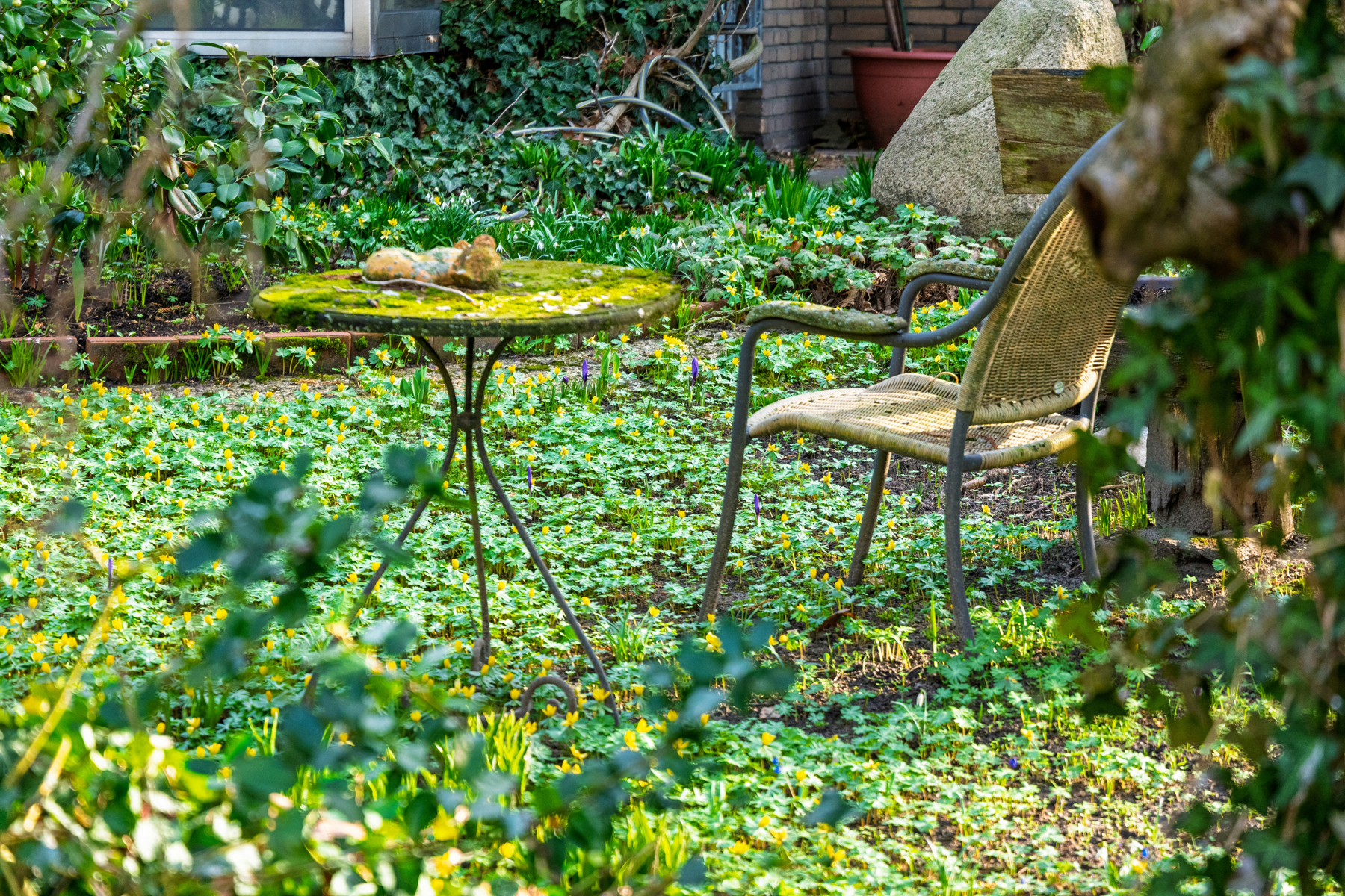 Garten im Frühjahr wird gereinigt und gepflegt